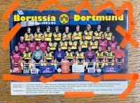 Mannschafts-Autogrammkarte BVB Borussia Dortmund 09 1993/94 Lindenthal - Köln Sülz Vorschau
