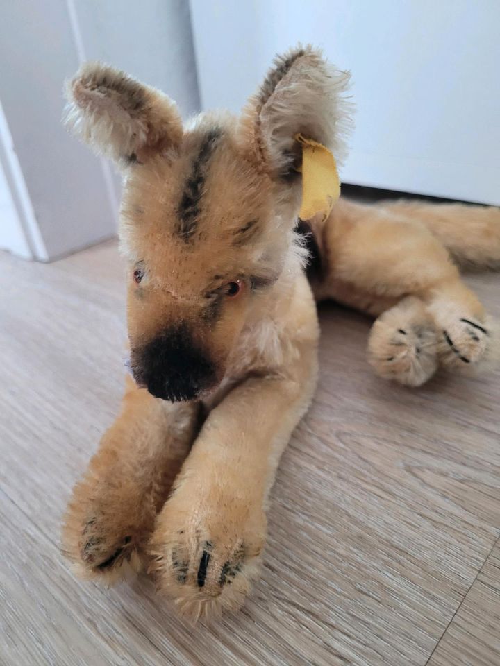 Steiff Mohair "Arco" Deutscher Schäferhund, liegend in Bonn