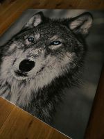 Wolf Bild. Bad Salzungen - Frauensee Vorschau