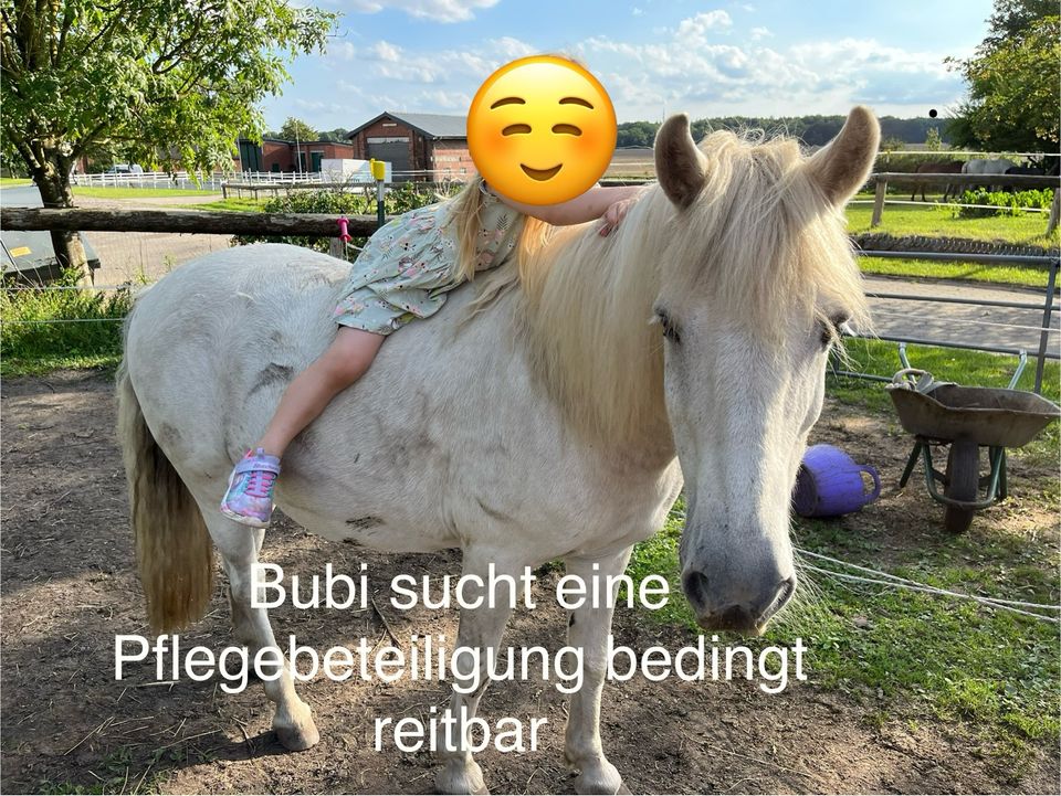 Pferde und Ponys suchen Dich in Rümpel