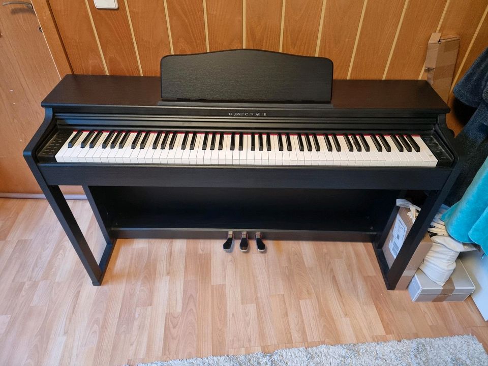 E-Piano (Classic cantabile dp-230) in Mainz