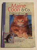 „Maine Coon & Co. - Halblanghaarkatzen“ / 1998 Sachsen - Diera-Zehren Vorschau