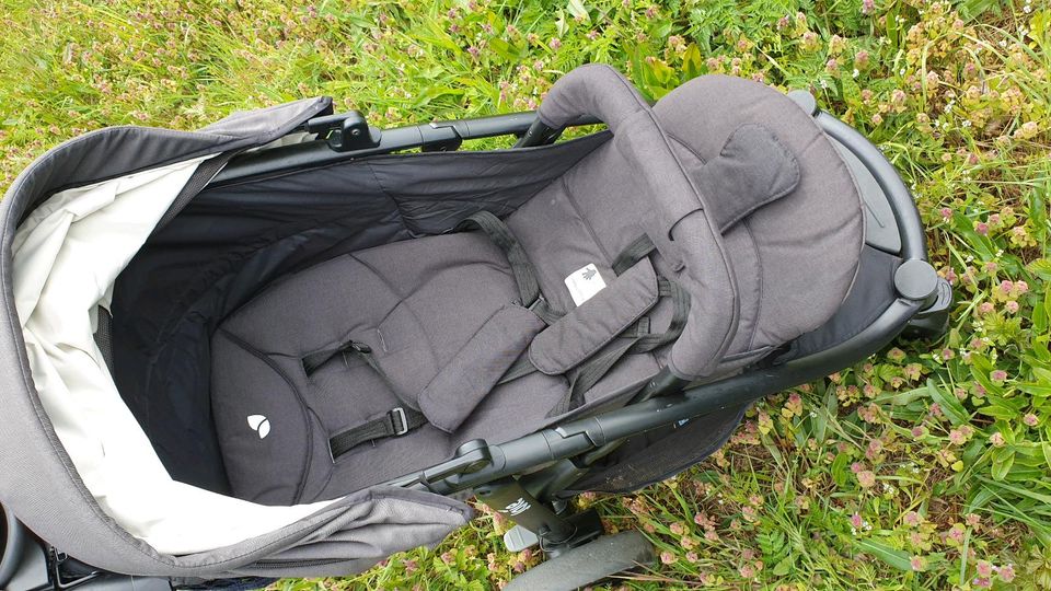 Joie Buggy Kinderwagen in Elsterwerda