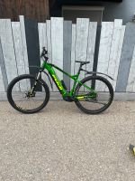 Ebike Fuji Ambient EVO 29 1.3 / Rahmengröße L Bayern - Memmingen Vorschau