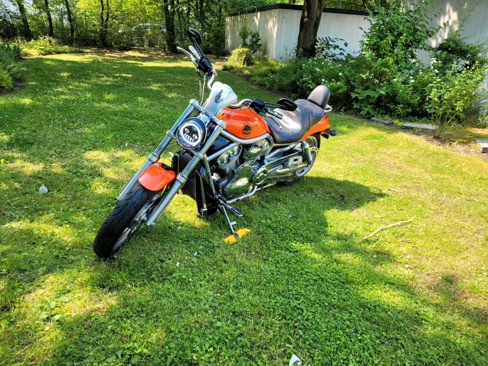 Harley Davidson Vrod - gepflegter Zustand in Schneverdingen