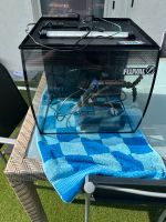 Fluval Nano Becken Nordrhein-Westfalen - Selm Vorschau