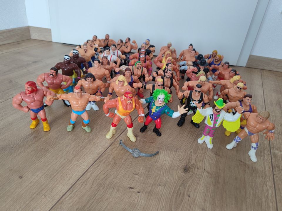 WWF WWE Simba Wentoys Hasbro Earl of the power in Steinach b. Straubing