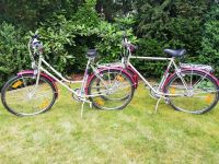 Damen- und Herrenfahrrad von Epple - Kult, Vintage, Deko Bayern - Tirschenreuth Vorschau