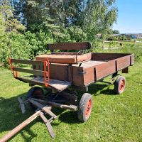 Kutsche Pferdewagen Müritz - Landkreis - Penzlin Vorschau