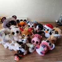 12 Glubschys, Beanie Boos ty Nordrhein-Westfalen - Neunkirchen-Seelscheid Vorschau