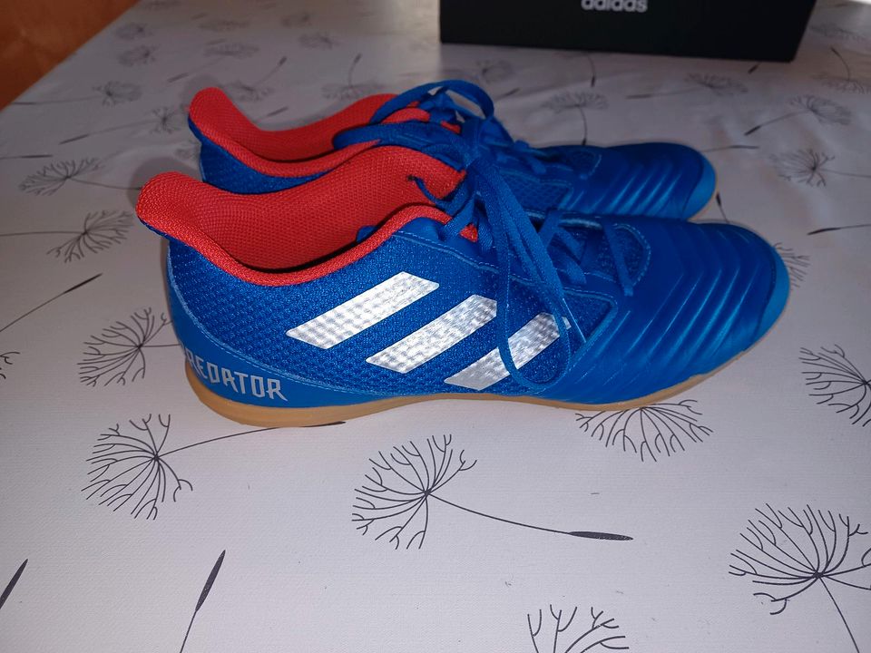 Adidas Predator Hallenturnschuhe Gr 41,5 in Wölpinghausen