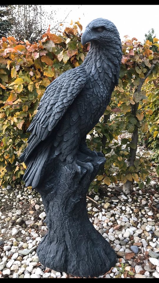 ‼️Adler 100kg 106cm Steinadler Seeadler Greifvogel Eagle Harley‼️ in Düsseldorf