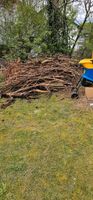 holz baum/Äste Abzugeben. Nordrhein-Westfalen - Brilon Vorschau