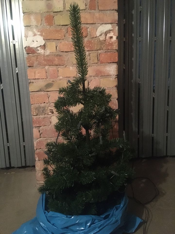 Weihnachtsbaum in Dresden