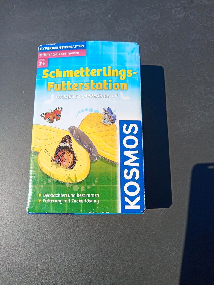 Schmetterlings-Futterstation Kosmos in Hörstel