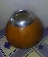 Vase für Trockenblumen aus einer tropischen Frucht gefertigt Thüringen - Jena Vorschau