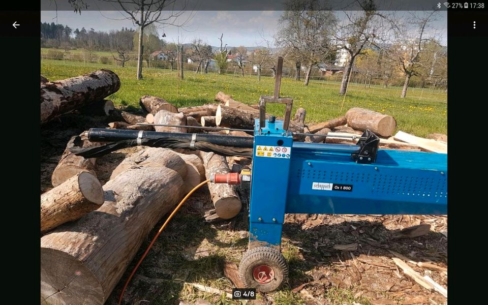 Hydraulik Holzspalter in Friedrichshafen