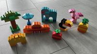 LEGO® DUPLO® 10853 Kreativ-Bauset bunte Tierwelt Bayern - Haldenwang i. Allgäu Vorschau