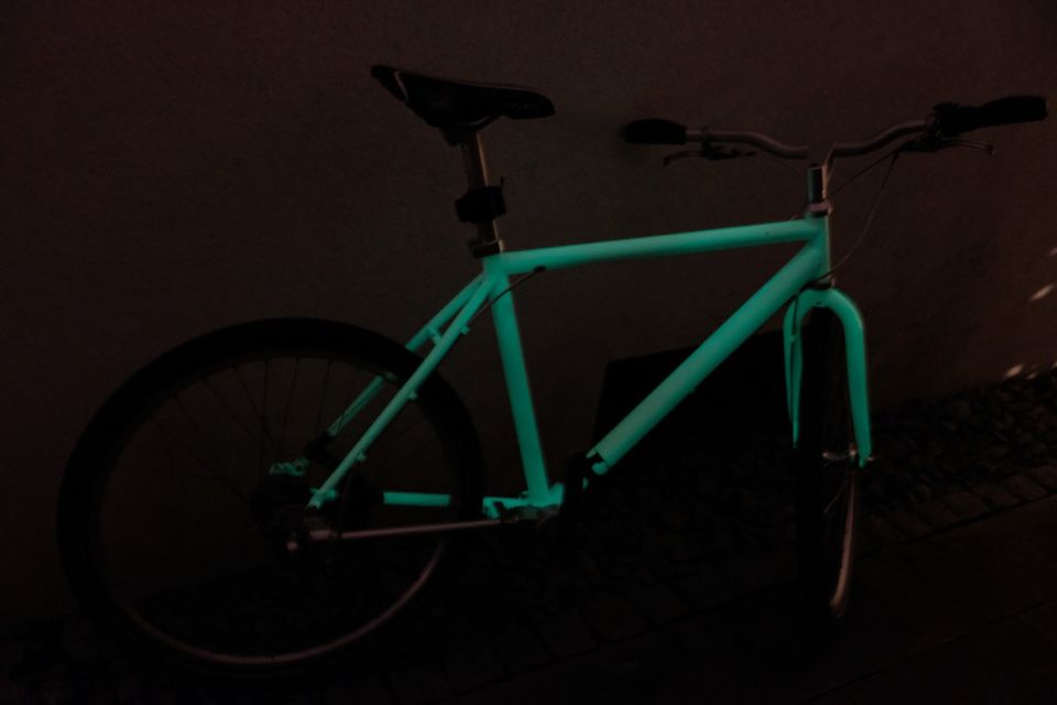 Extravagant urban bike (Kardan, Fluorescence) from Biomega in Heidelberg