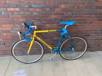 Peugeot Rennrad Retro Hamburg-Nord - Hamburg Winterhude Vorschau