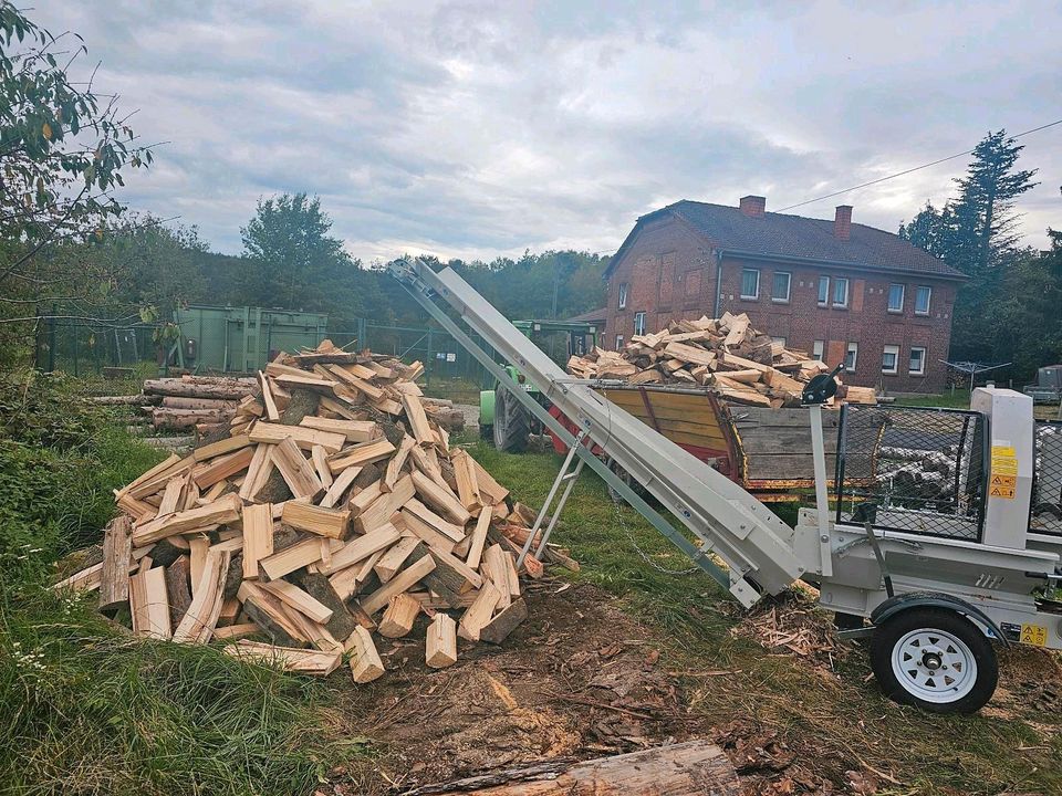 Lohnspalten Brennholz in Merkers-Kieselbach