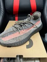 Yeezy Boost 350 V2 Farbe Ash Stone/ Grau, ORIGINAL NEU UNBENUTZT Berlin - Reinickendorf Vorschau