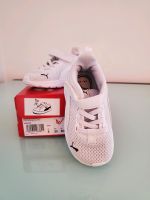 Sneaker PUMA, Gr 22 Nordrhein-Westfalen - Paderborn Vorschau