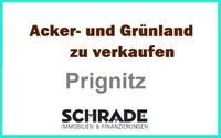 17,6 ha Acker und Grünland in der Prignitz Brandenburg - Bad Wilsnack Vorschau