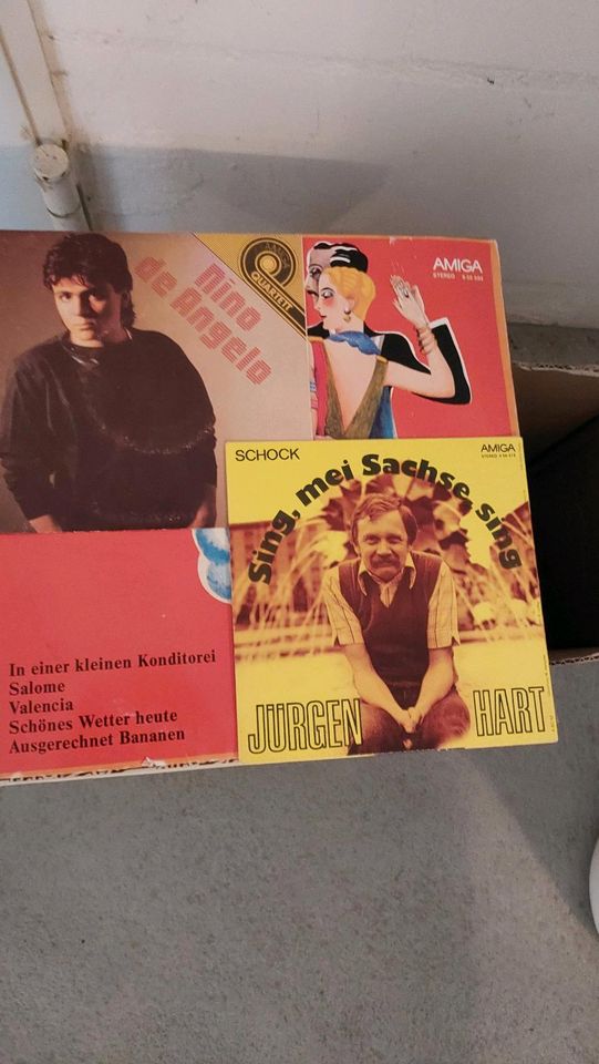 Schallplatten  Vinylplatten in Machern