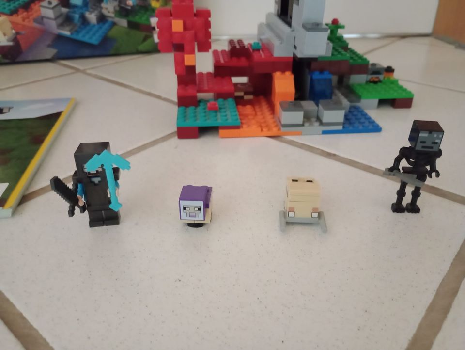 Lego Minecraft 21172 Das zerstörte Portal in Neustadt an der Weinstraße