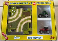 Bodenpuzzle Schleswig-Holstein - Arpsdorf Vorschau