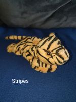 15* Beanie Babies Tiger Stripes Bayern - Bayreuth Vorschau