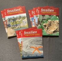 Fossilien Journal Magazin Niedersachsen - Leer (Ostfriesland) Vorschau