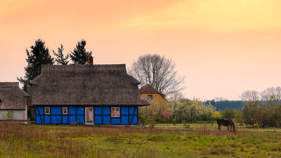 Haus/Wohnung mit Pferdehaltung gesucht in Butzbach