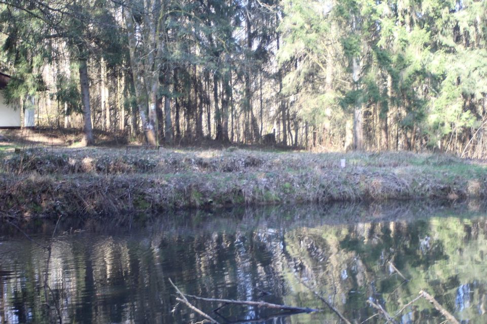 Waldgrundstück mit ca. 1.100 m² Wasserfläche in Elz in Elz