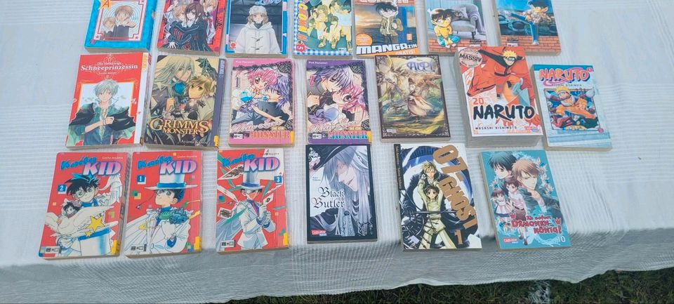 Manga,  Mangas, Naruto, Bücher, Comics,  Japan, Conan,Vampir in Seevetal