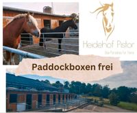 Paddockbox / Pferdebox Nordrhein-Westfalen - Wilnsdorf Vorschau