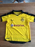 Trikot, BVB, Puma Hessen - Bensheim Vorschau