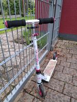 #Roller #klappbar Baden-Württemberg - Ketsch Vorschau