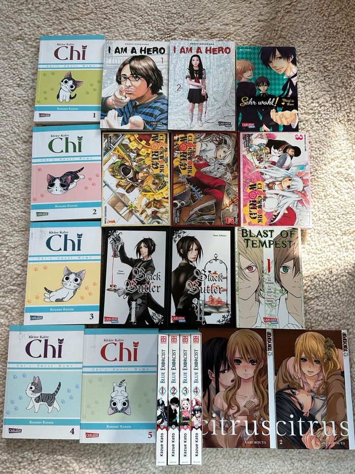 Manga Sammlung in Haag in Oberbayern