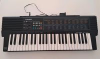 Casio Tone Bank Keyboard CA-301 Hessen - Eltville Vorschau