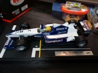 Ralf Schumacher Williams FW22 Imola Formel 1 Modellauto 1:18 F1 Baden-Württemberg - Biberach an der Riß Vorschau