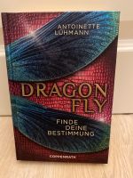 Dragon Fly - Finde Deine Bestimmung Aachen - Aachen-Brand Vorschau