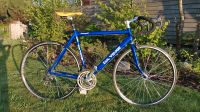 Da Vinci Campagnolo Rennrad Vintage Classic RH 55 Niedersachsen - Meinersen Vorschau
