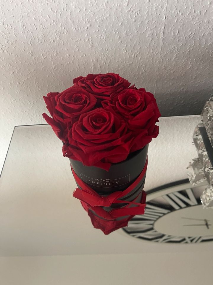 Kleine Infinity Rose rot ❤️sehr schön Rosenbox Deko echte in Gelsenkirchen