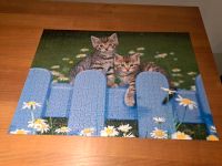 Puzzle Katzenmotiv 1000 Teile Sachsen - Annaberg-Buchholz Vorschau