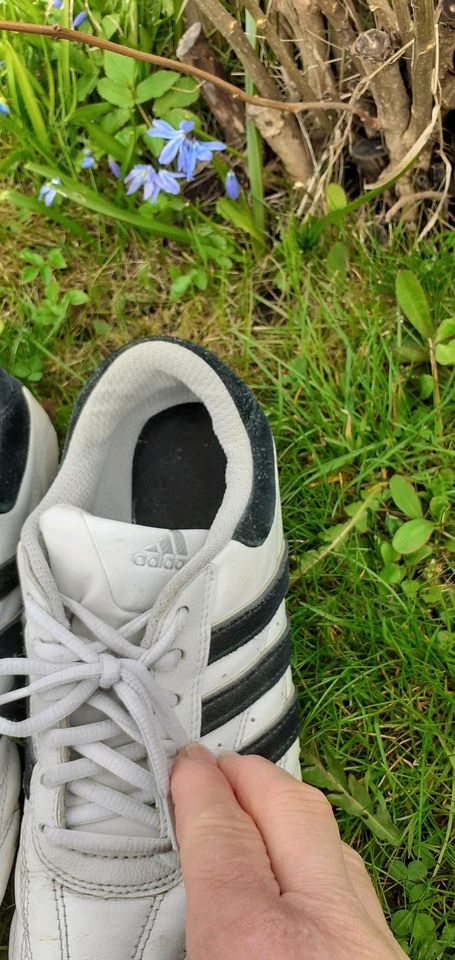 Herren Adidasturnschuhe in Markersbach