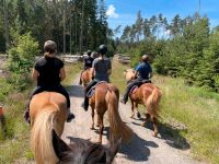 Ausreit-Reitgruppen für Erw. mit Islandpferden Hessen - Münchhausen Vorschau