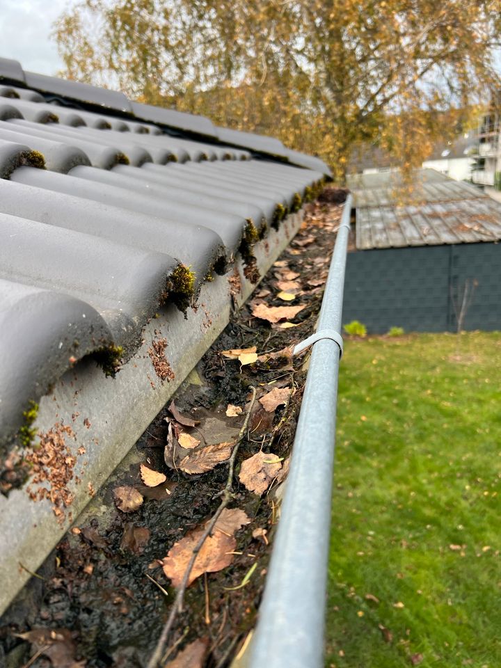 Gartenpflege, Rasen mähen , Hecken/Sträucher schneiden, in Hillscheid