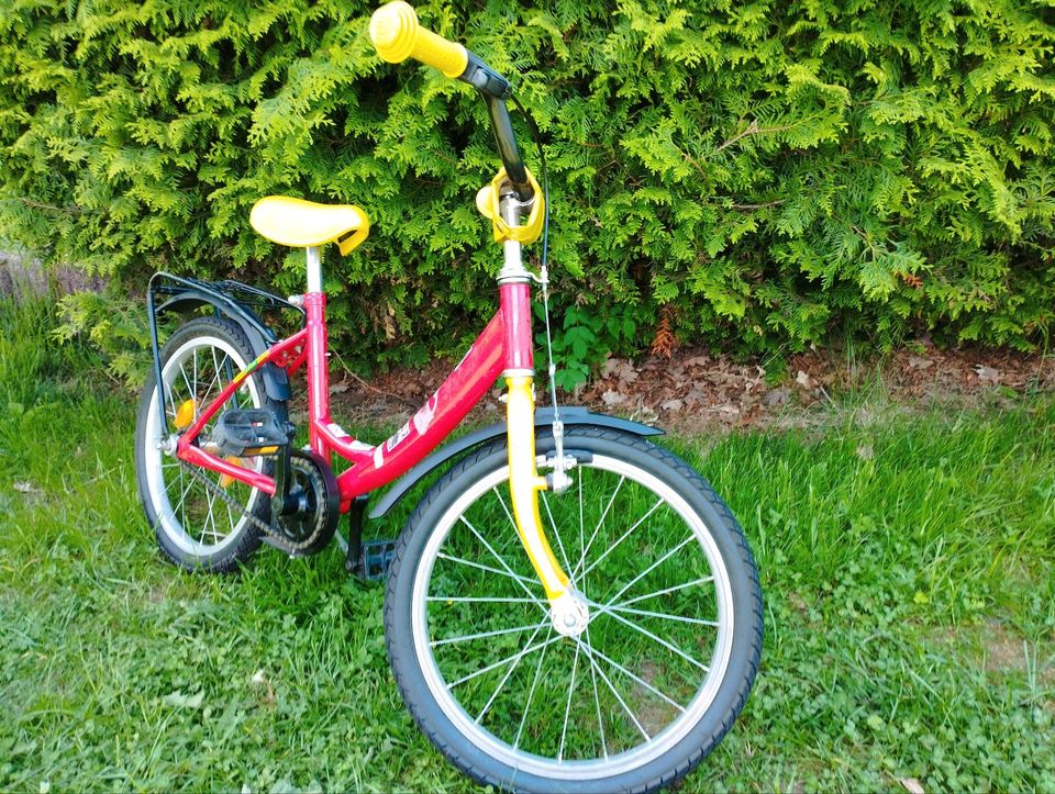 Kinderfahrrad 18zoll in Nessetal